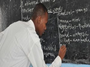 teachers LDA Professional Teacher Development