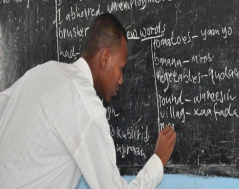 LDA Professional Teacher Development