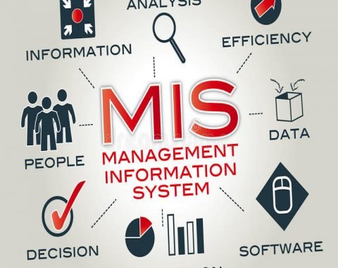 LDA Management Information System
