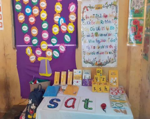 Professional Teacher Development