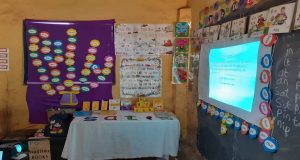 Professional Teacher Development Primary Literacy at Life-Long Development Academy